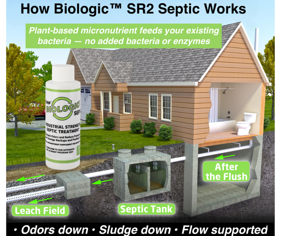 Collection of BIOLOGIC™ SR2 SEPTIC – 12 Pack in a gallery layout