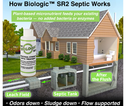 Collection of BIOLOGIC™ SR2 SEPTIC – 12 Pack in a gallery layout