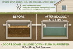 Collection of BIOLOGIC™ SR2 SEPTIC – 12 Pack in a gallery layout